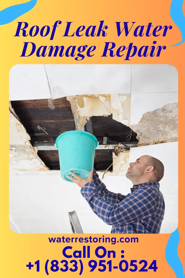 Roof Leak Water Damage Repair in Happys Inn, MT
